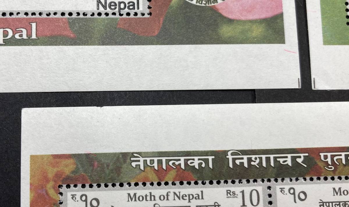 ネパール 2014年発行 蛾 昆虫 切手 未使用 NH_画像7
