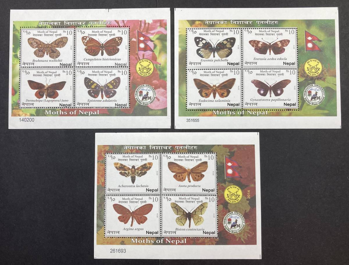 ネパール 2014年発行 蛾 昆虫 切手 未使用 NH_画像1