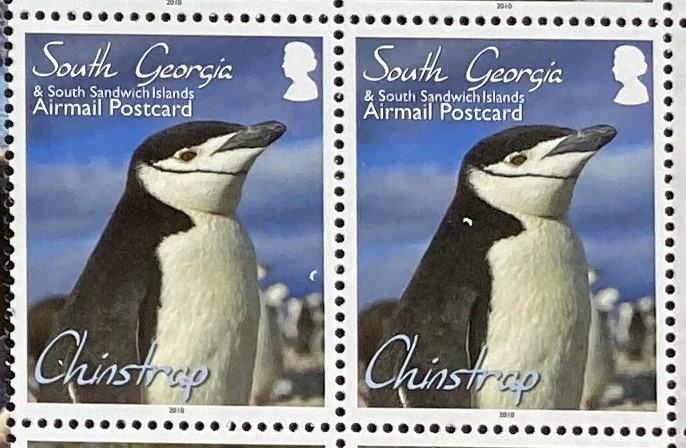 サウスジョージア 2010年発行 ペンギン トリ 切手 未使用 NHの画像4