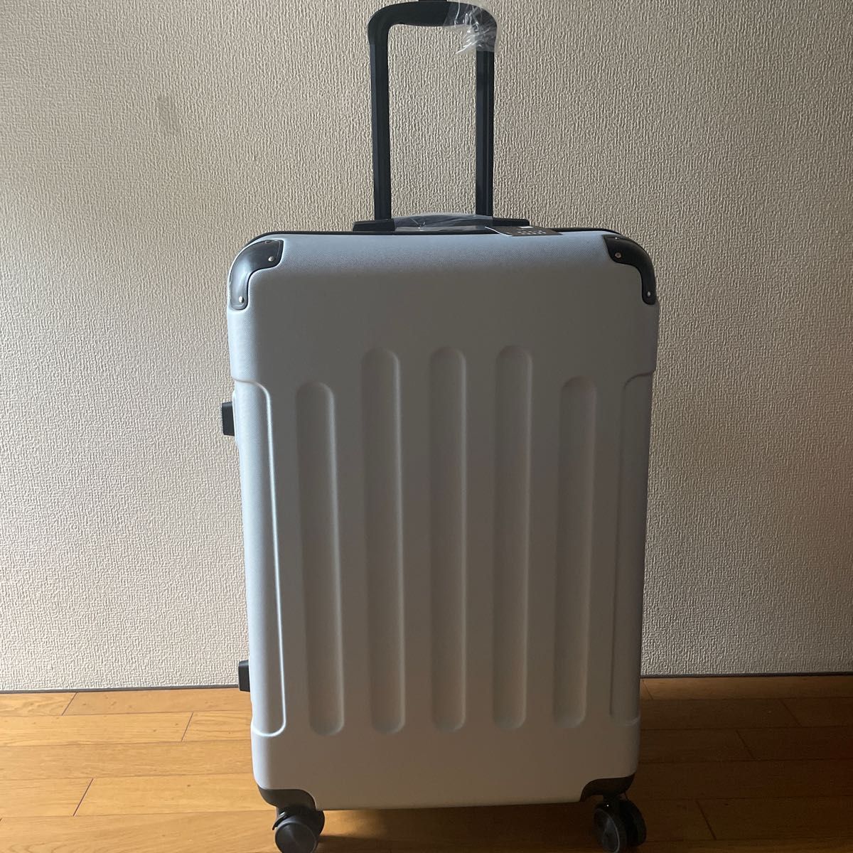 新商品スーツケース Lサイズ TSAロック102L