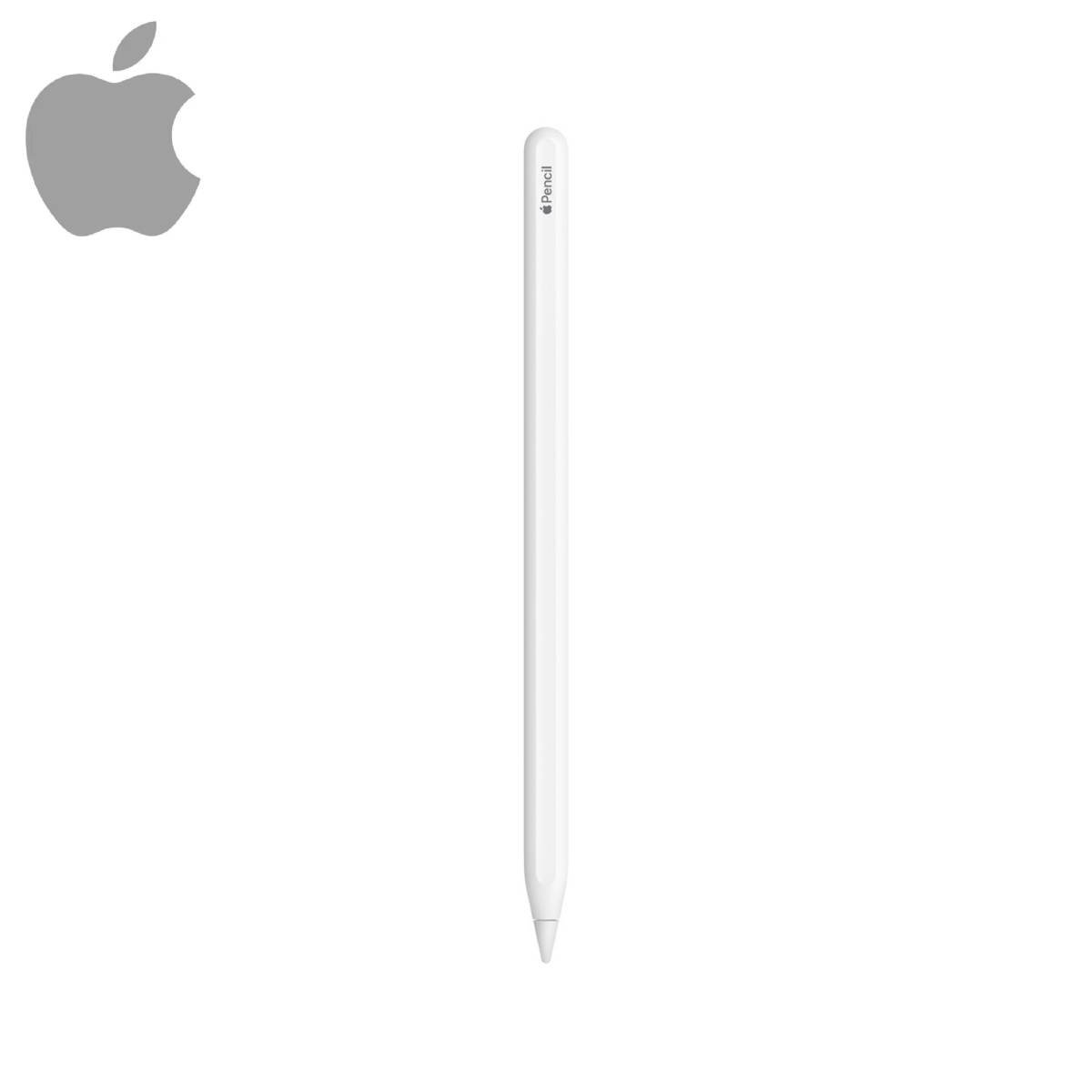 Appleペンシル ApplePencil 第2世代 A2051-