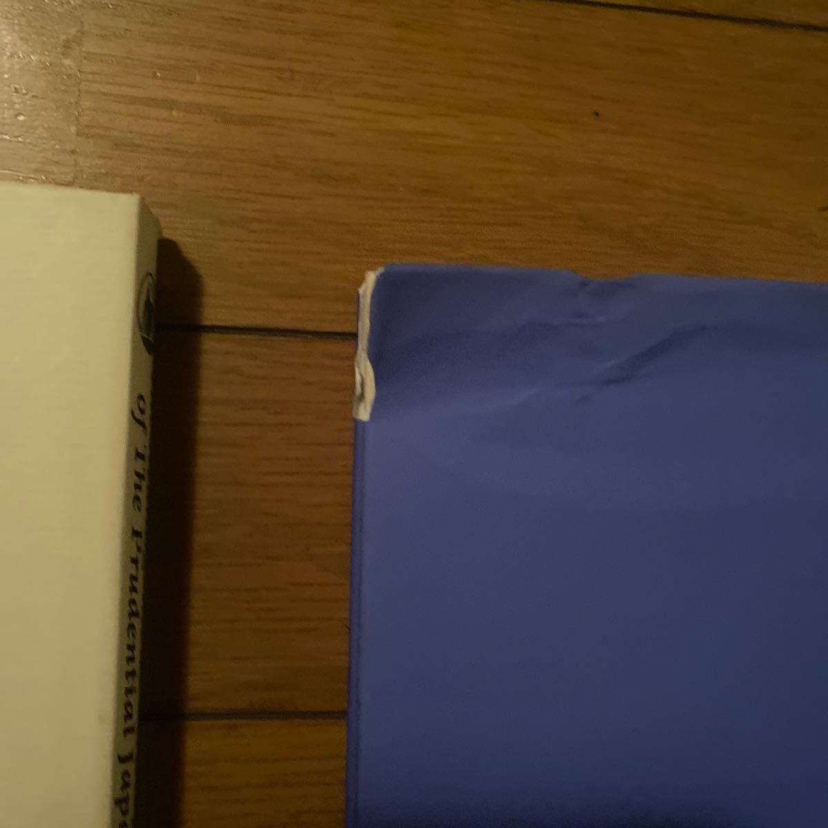 プルデンシャル ブルーブック原年廣【非売品】3冊セット|Yahoo プルデンシャル ブルーブック原年廣【非売品】3冊セット|Yahoo