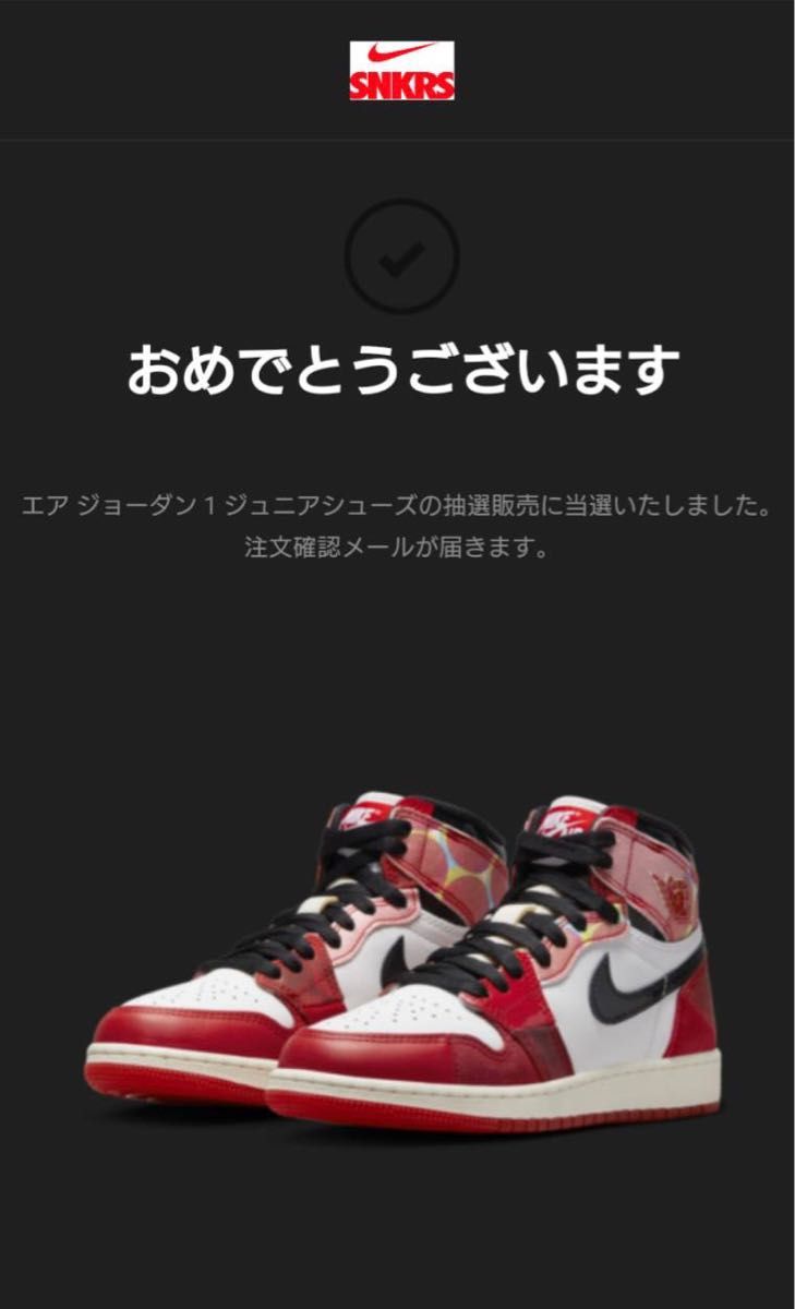エアジョーダン1 スパイダーマン ジュニア ネクストステージ 23.5cm