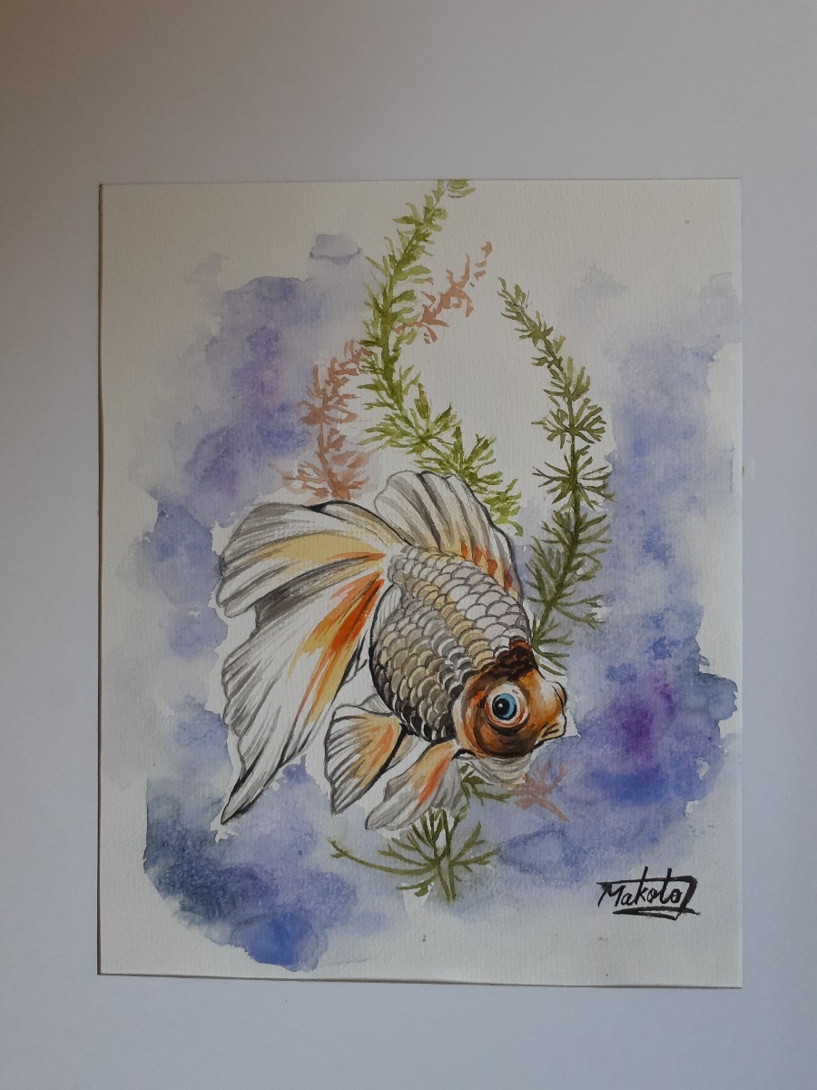 水彩画　金魚_画像1