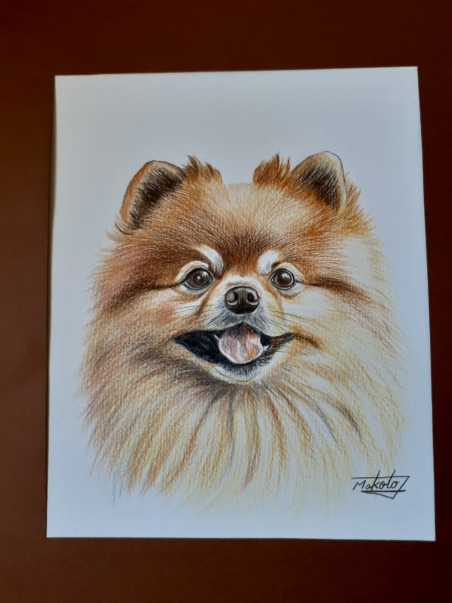 色鉛筆画アート ポメラニアン|Yahoo!フリマ(旧PayPayフリマ) 色鉛筆画アート ポメラニアン|Yahoo!フリマ(旧PayPayフリマ)