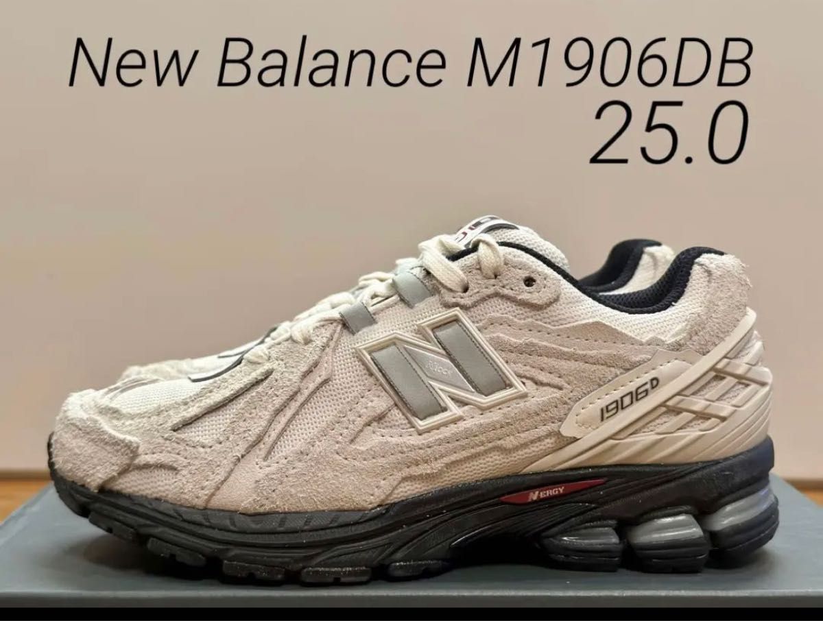 完売サイズ！New Balance M1906DB 25.0 ニューバランス 9060 2002R 860 550