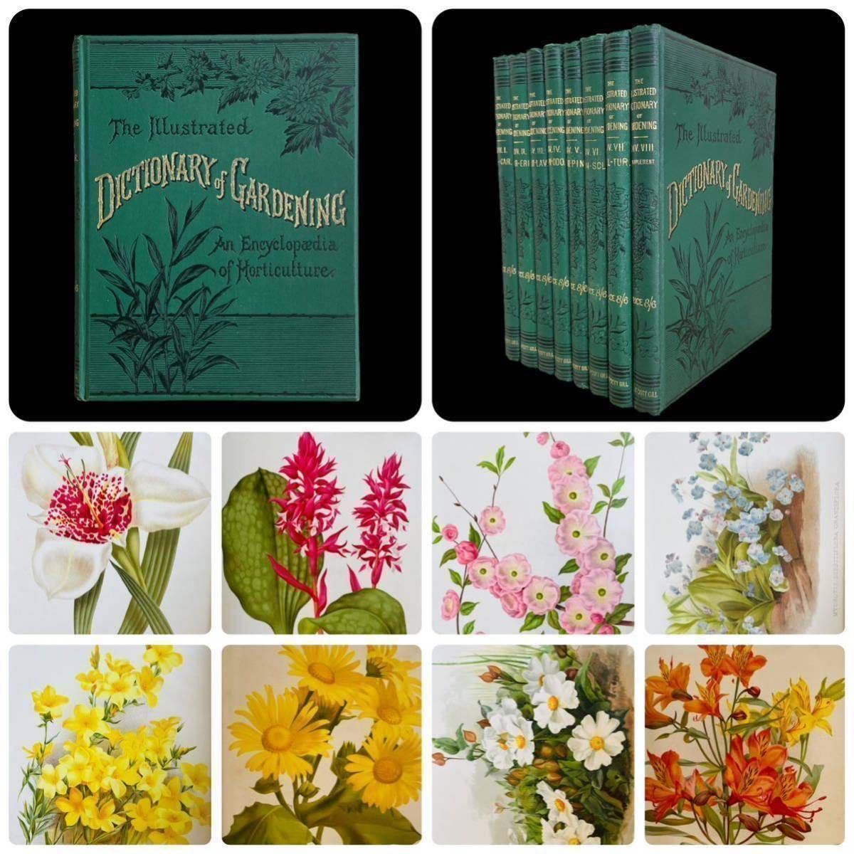 ◆セットは滅多に出ません★英国 植物図鑑 百科事典 全8巻 カラー絵 1887年 The illustrated Dictionary of Gardening ジョージニコルソン_画像1