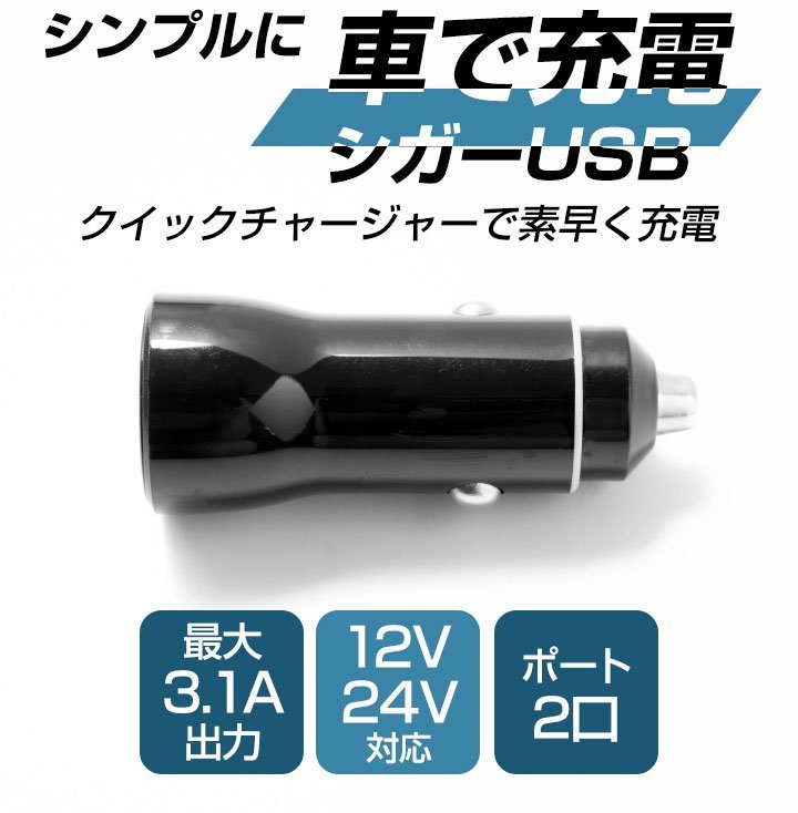 から厳選した USB 2ポート シガーソケット 3.1Ａ ブラック 急速充電