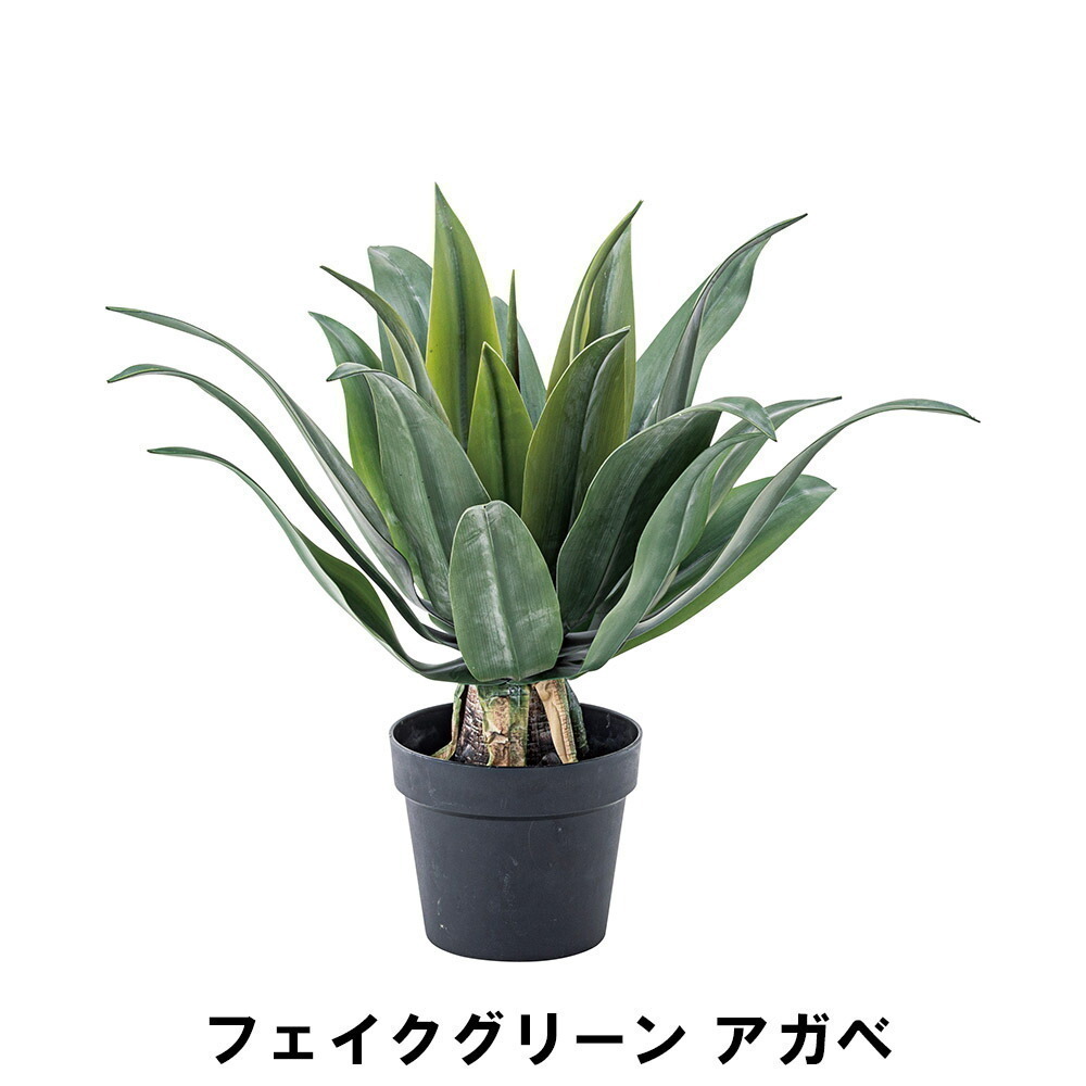 フェイクグリーン アガベ 幅53 奥行53 高さ53cm 造花 人工観葉植物 ガーデン ガーデン用品 M5-MGKAM00351