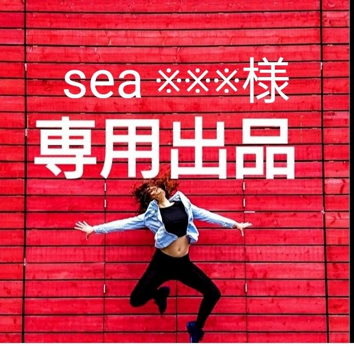 sea 様専用｜Yahoo!フリマ（旧PayPayフリマ）