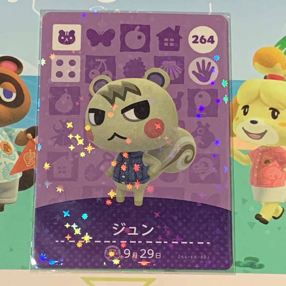 アミーボカード amiibo どうぶつの森ジュン どうぶつの森amiibo アミーボカード amiibo どうぶつの森ジュン どうぶつの森amiibo