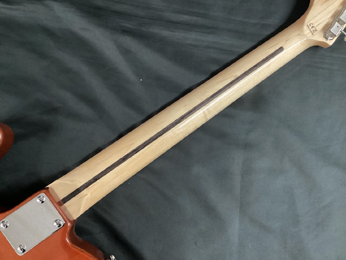 LEGEND LTE-69TL N (レジェンド) ギター | sandromagaldi.com.br