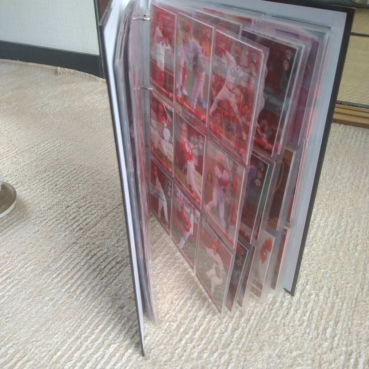 DVDデラデラ 2008 5DVD2本付き 原幹恵 琴乃 範田紗々 麻美ゆま DVDデラデラ 2008 5DVD2本付き 原幹恵 琴乃 範田紗々 麻美ゆま
