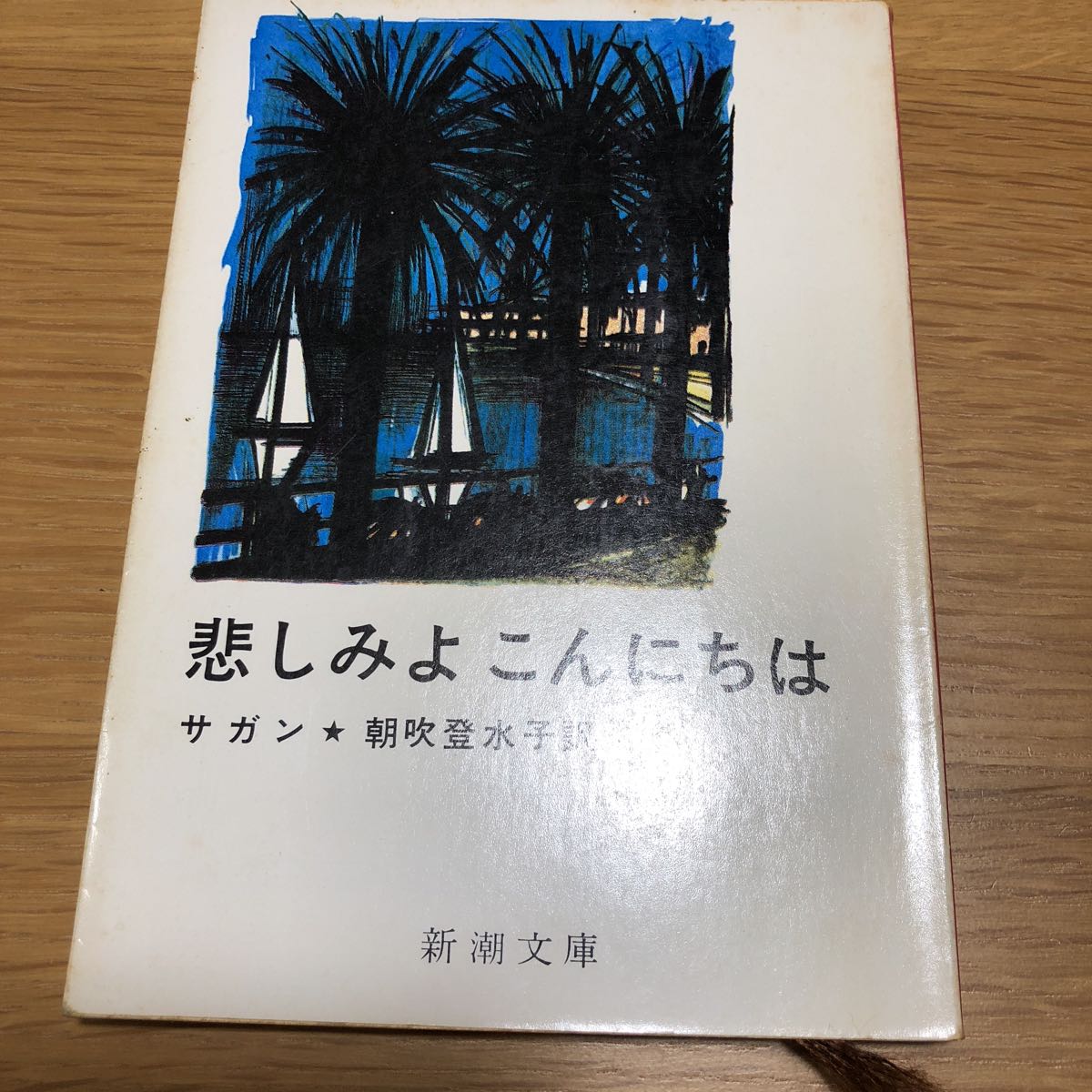 上質で快適 サガン2冊セット サガン2冊セット 失われた横顔 心の青あざ