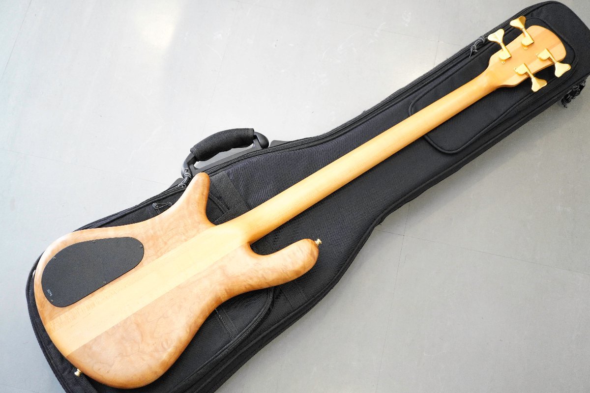 最新入荷】 スペクターベース ケース ベース - education.semel.ucla.edu
