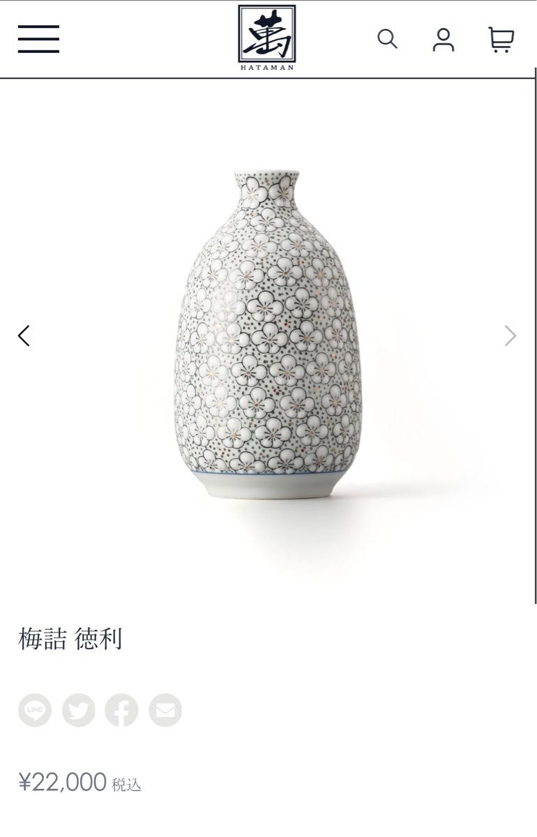 有田焼 伊万里大川内山 畑萬作 玉彩梅詰 半酒器セット