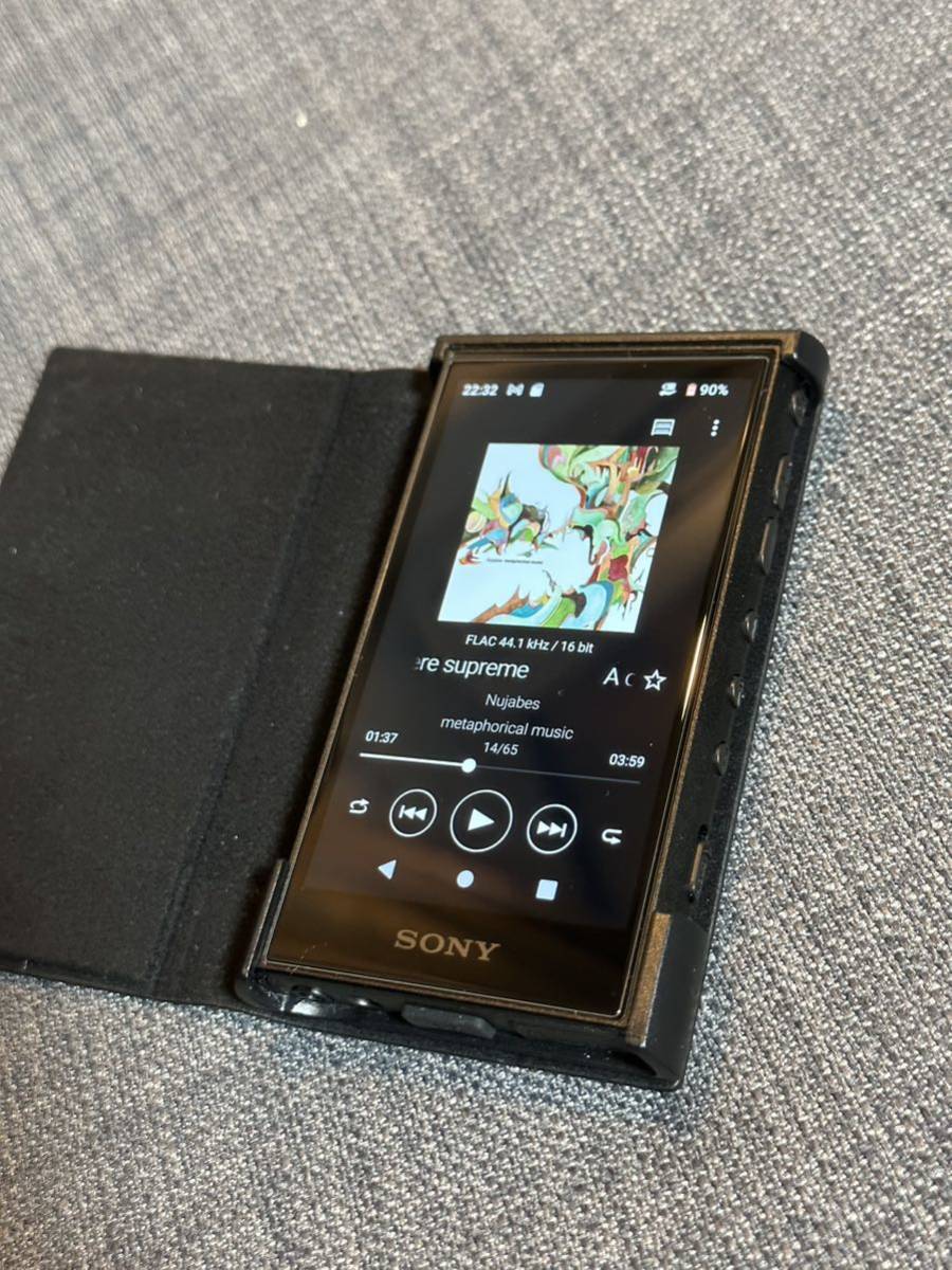 SONY WALKMAN NW-A306 256GB microSD 純正ケース 保護フィルムつき