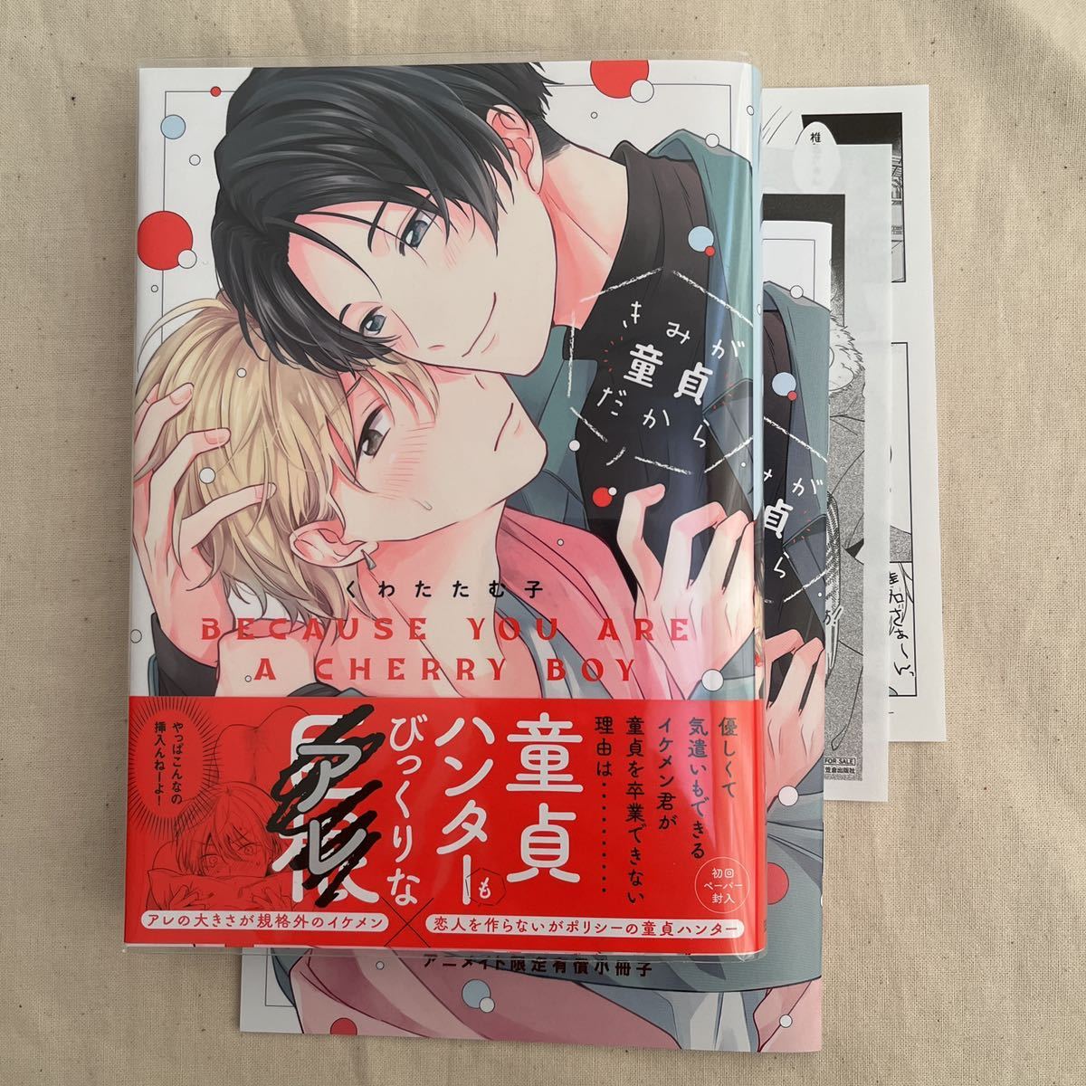 BL ペーパー2点、小冊子付 くわたたむ子「きみが童貞だから」初版_画像1