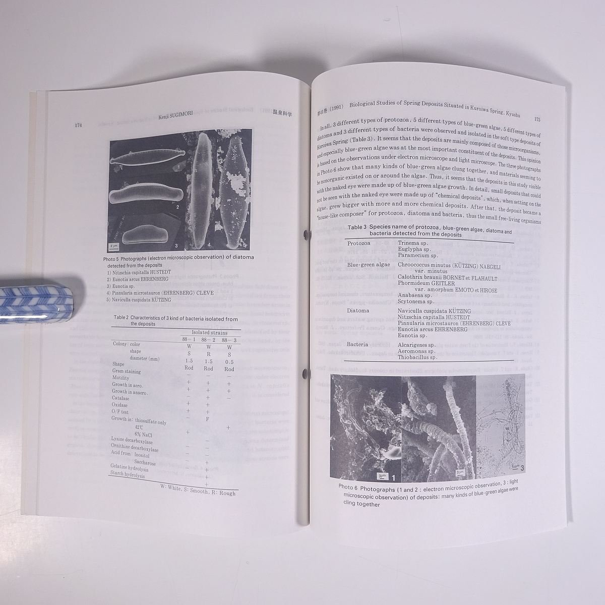 温泉科學 1991/5 日本温泉科学会 大型本 温泉 論文 物理学 化学 地学 工学 工業 原著・本邦温泉のトリウム含量 放射化分析による定量 ほか_画像7