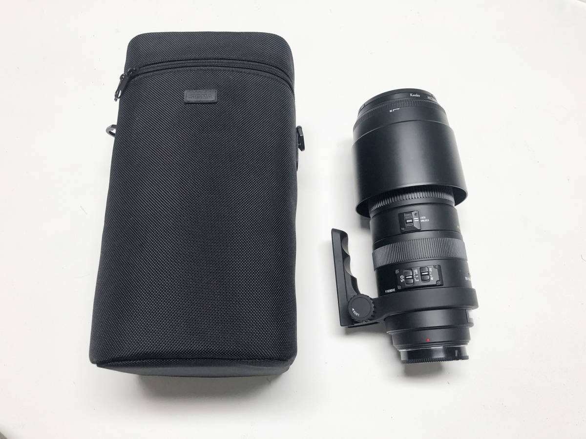 シグマ APO 150-500mm F5-6.3 DG OS HSM (ソニーA) | aeonenergy.co.nz