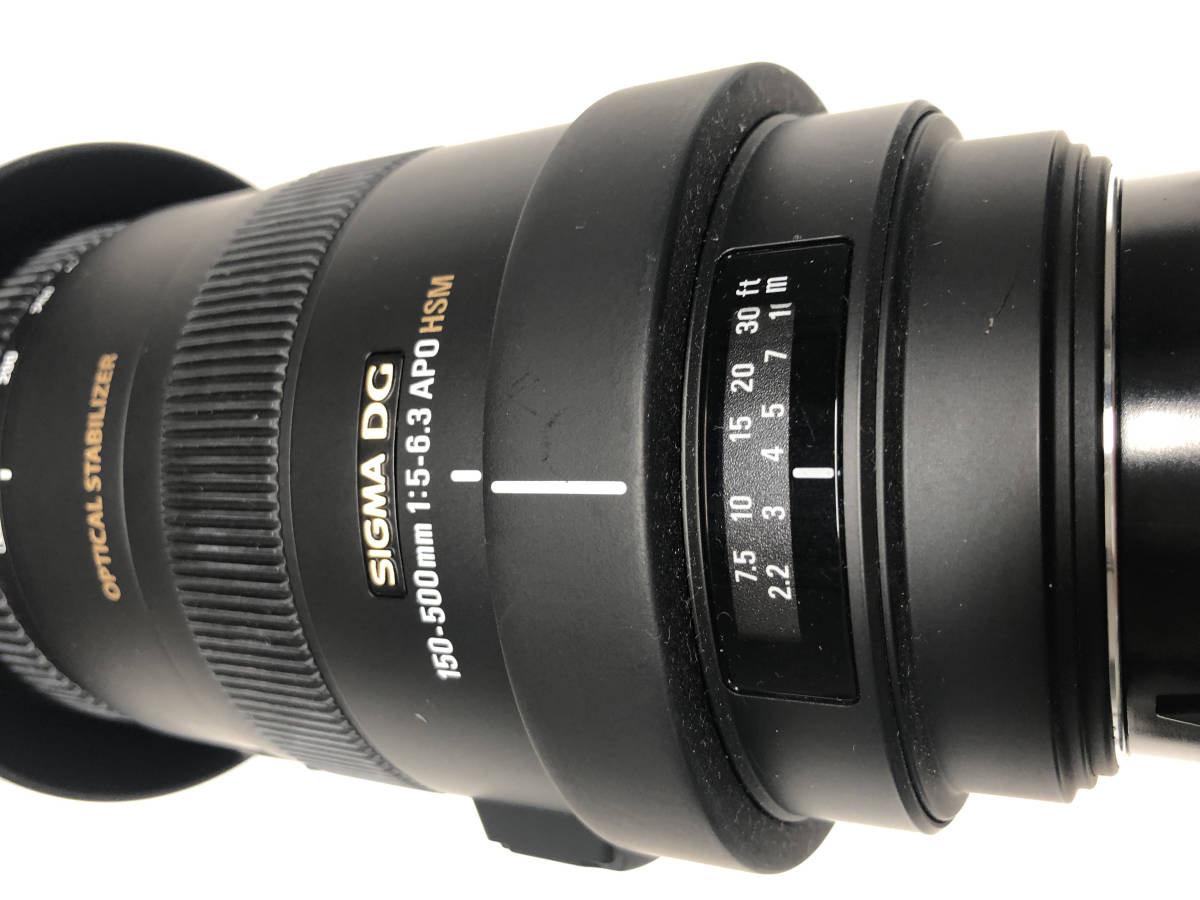 シグマ APO 150-500mm F5-6.3 DG OS HSM (ソニーA) | aeonenergy.co.nz