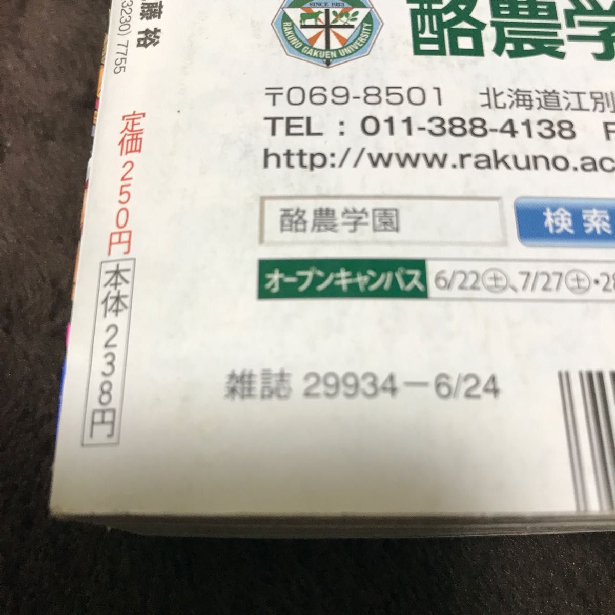 週刊少年ジャンプ 2013年28号】ワンピース ONE PIECE ルフィ 週刊少年ジャンプ 2013年28号】ワンピース ONE PIECE ルフィ