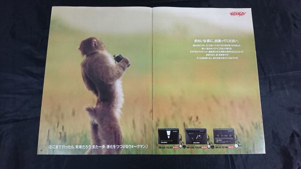 『SONY(ソニー)カジュアルオーディオ ウォークマン/テープレコーダー総合カタログ 1988年9月』WM-150/WM-509/WM-503/WM-F203/WM-D3/WM-D6Cの画像3