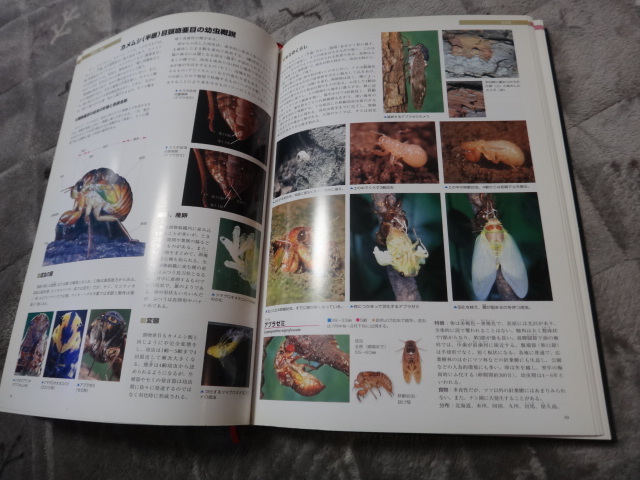 専門書 学研 昆虫図鑑 日本産幼虫図鑑 専門書 学研 昆虫図鑑 日本産幼虫図鑑
