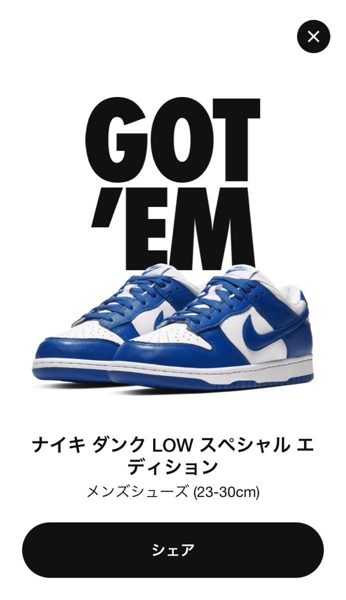 NIKEDunk Low SPVarsity Royalナイキダンク ロー エスピーバーシティロイヤル