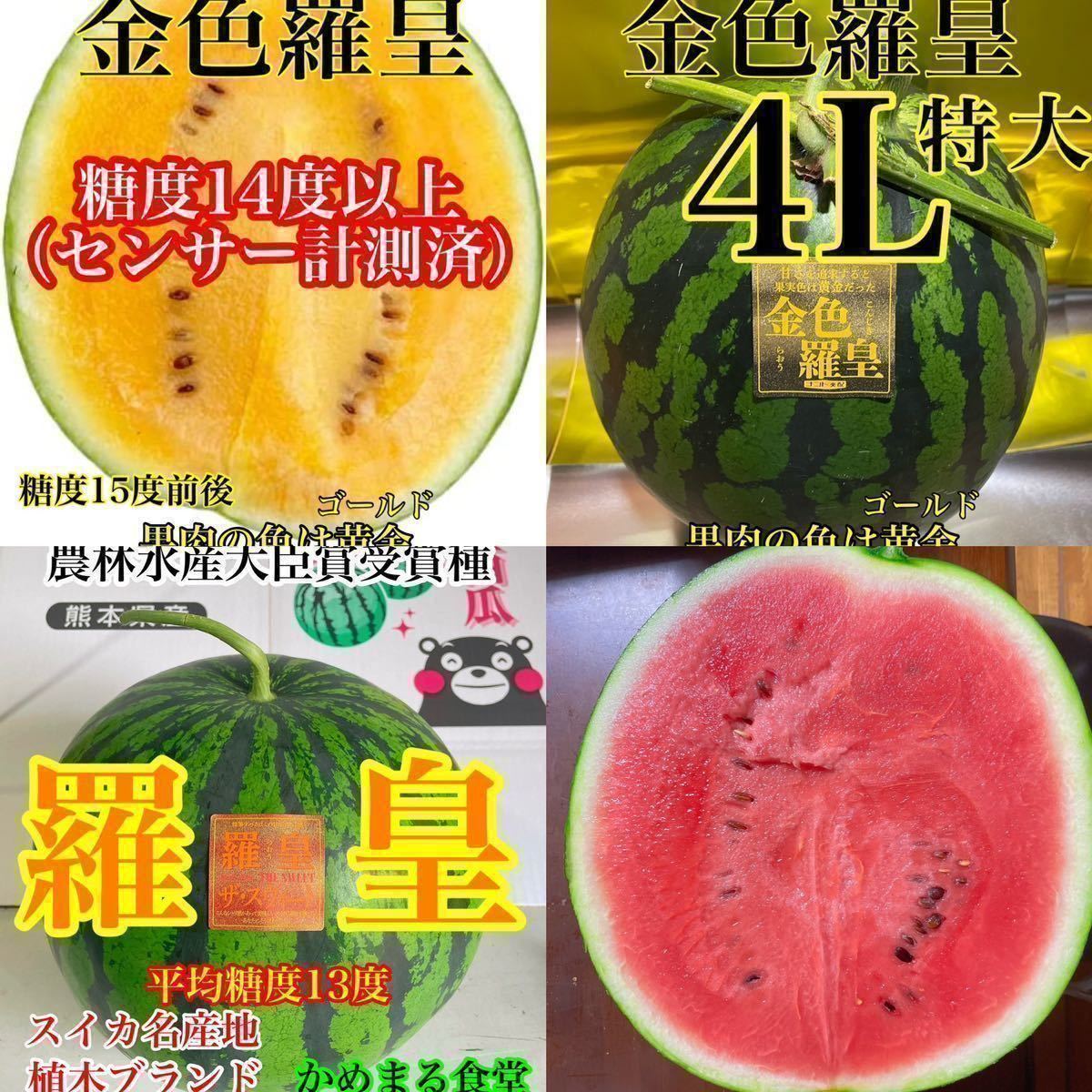 送料関税無料】高知県産すいか大玉、即購入OK 果物 高知県産すいか大玉、即購入OK