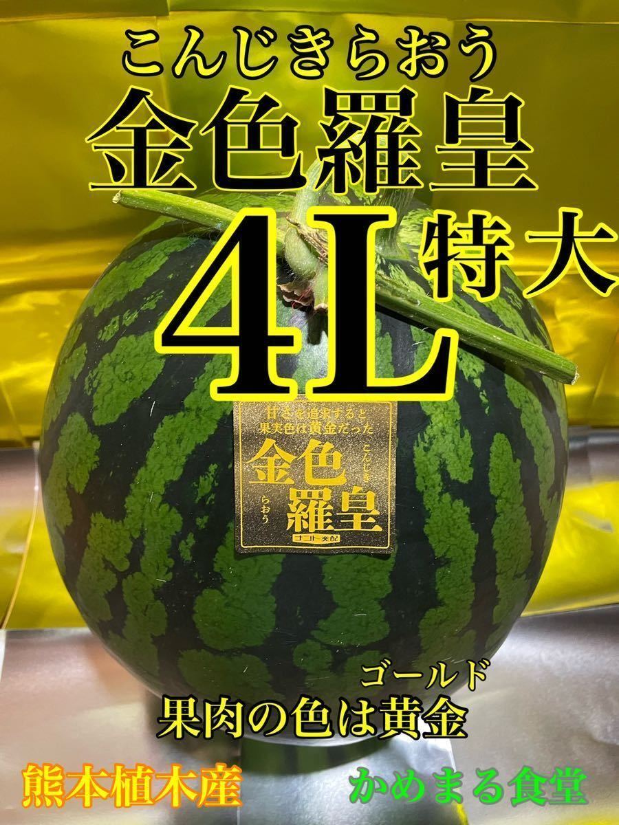 誠実】 高知県産すいか大玉 即購入OK 高知県産すいか大玉、即購入OK