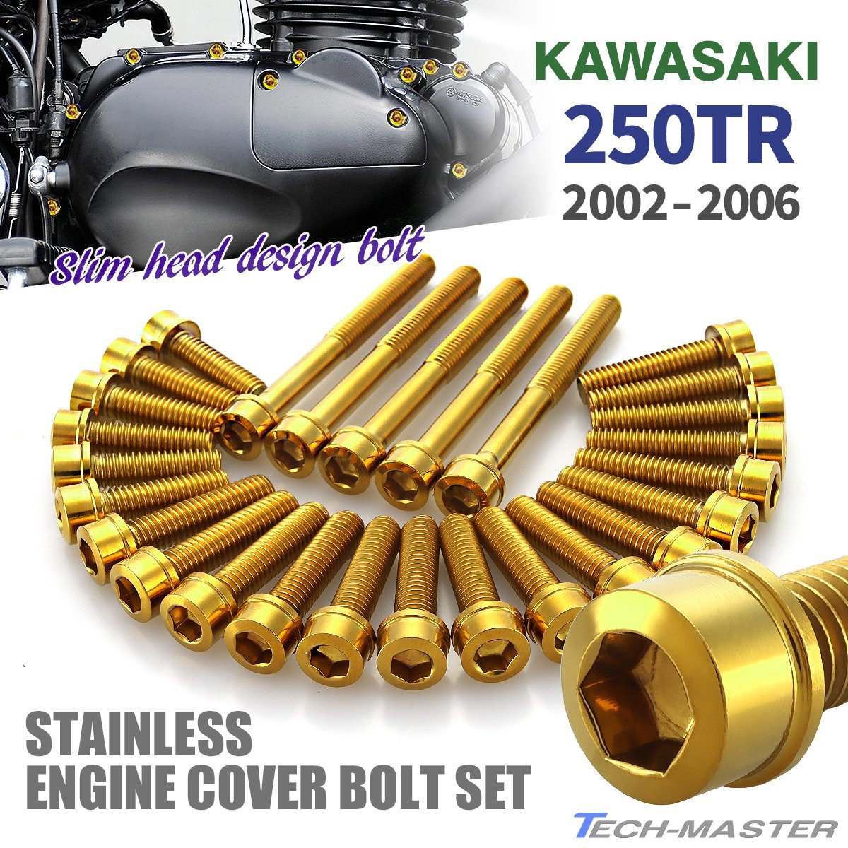 250TR 2002年～2006年 エンジンカバーボルト 27本セット ステンレス製 スリムヘッド カワサキ車用 ゴールドカラー TB8262_画像1