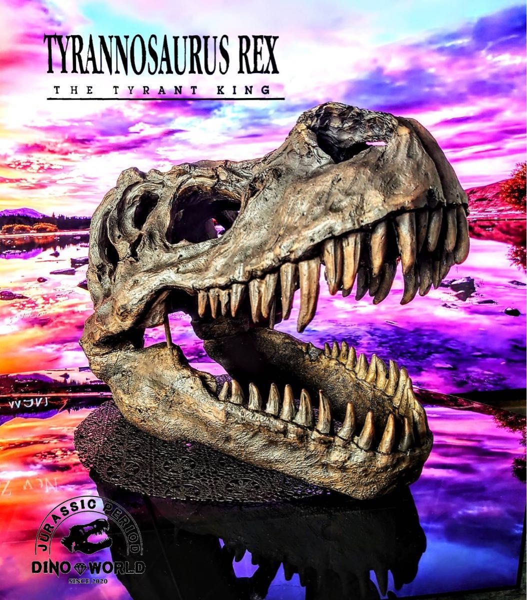 【限定商品】ティラノサウルス T-REX 頭骨 化石 インテリア オブジェ レプリカ トリケラトプス ジュラシックパーク