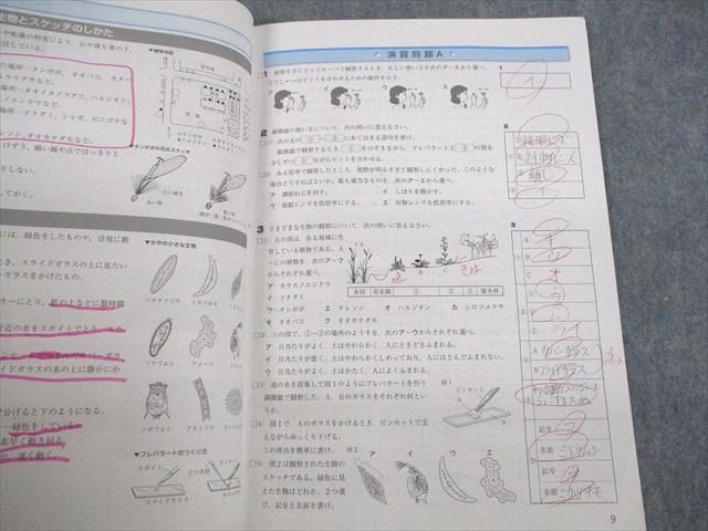 UL10-132 秀英予備校 中1 理科実験講座 SHUEI理科LABO 実験・観察映像、問題演習＆解説 06s2B_画像4