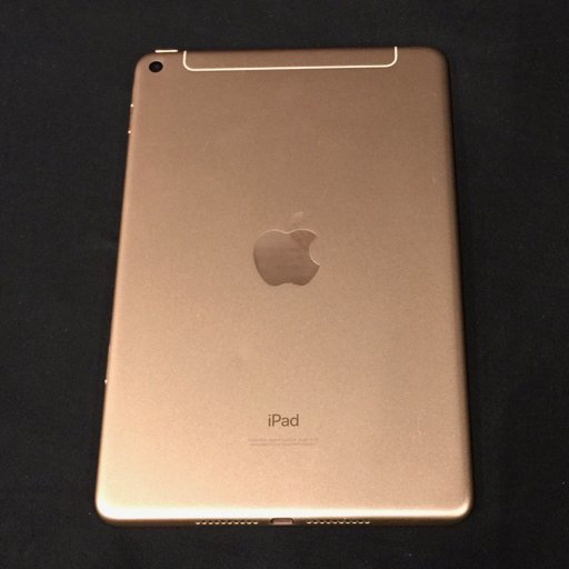 1円 SIMフリー Apple iPad mini 第5世代 MUXE2J/A Wi-Fi+Cellular 256GB ゴールド 利用制限〇 タブレット 本体の画像2