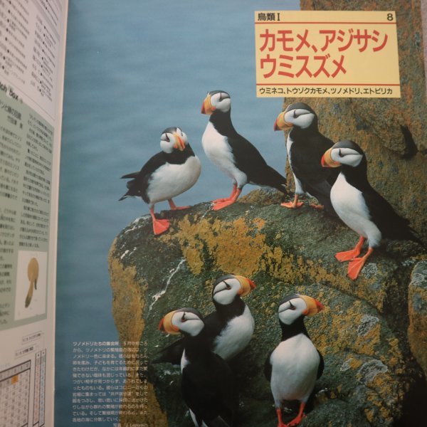  Special 3 73179*(2) / Weekly Asahi various subjects animal ... the earth 020 & 021 (2 pcs. set ) 020: duck me* scad sasi*u mistake zme021: is to* parrot * parakeet another 