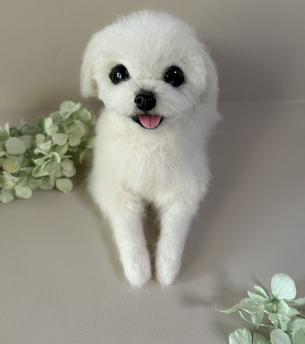 羊毛フェルト ケース付き 伏せをするマルチーズちゃん 羊毛フェルト