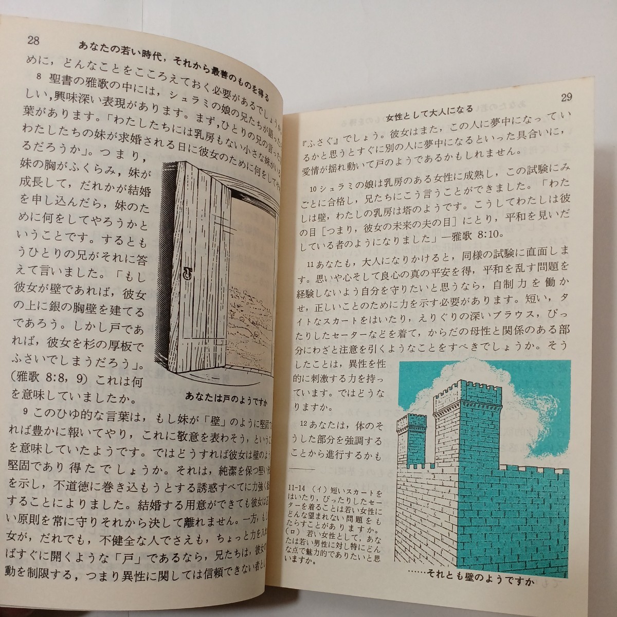 zaa-452♪「あなたの若い時代、それから最善のものを得る」　ものみの塔聖書冊子協会　 (1977/1/1)_画像5