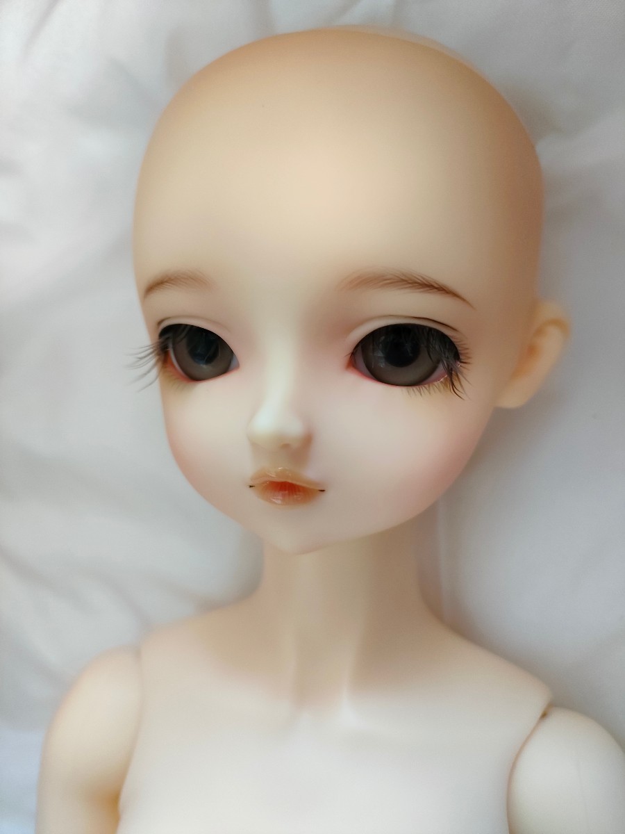 スーパードルフィー くるみ ドルパ20限定 フルセット 美品 ボークス
