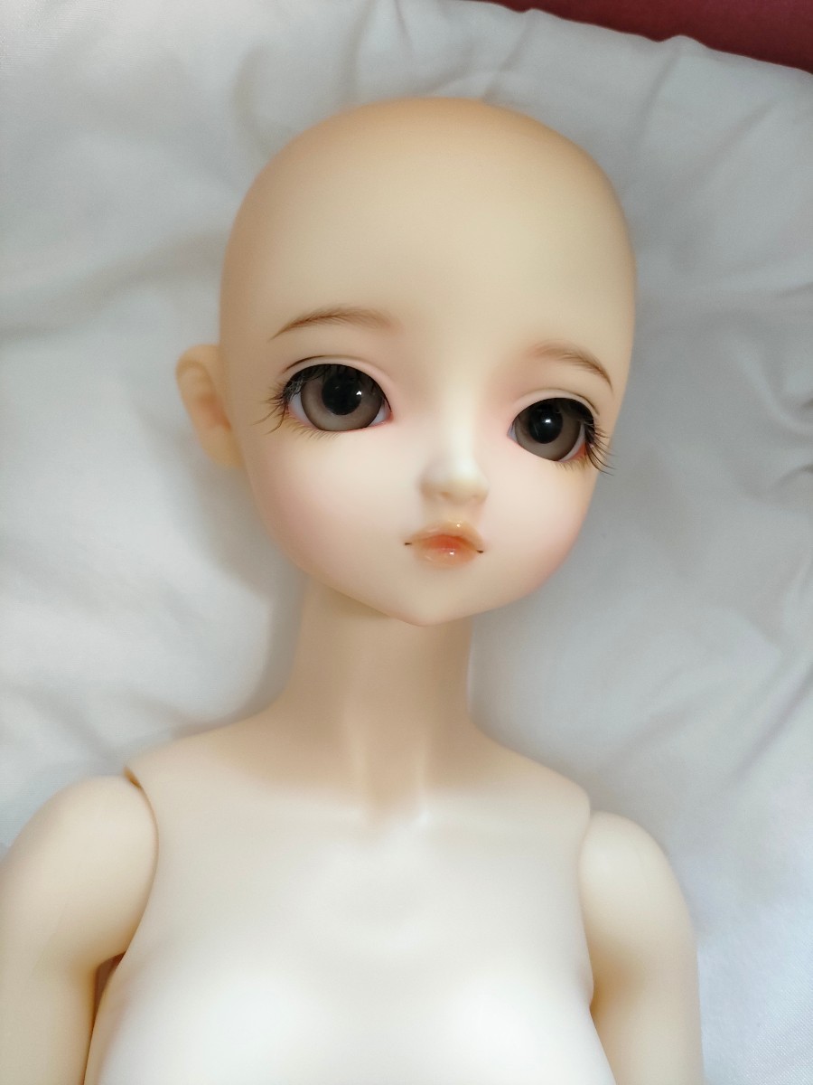 スーパードルフィー くるみ ドルパ20限定 フルセット 美品 ボークス