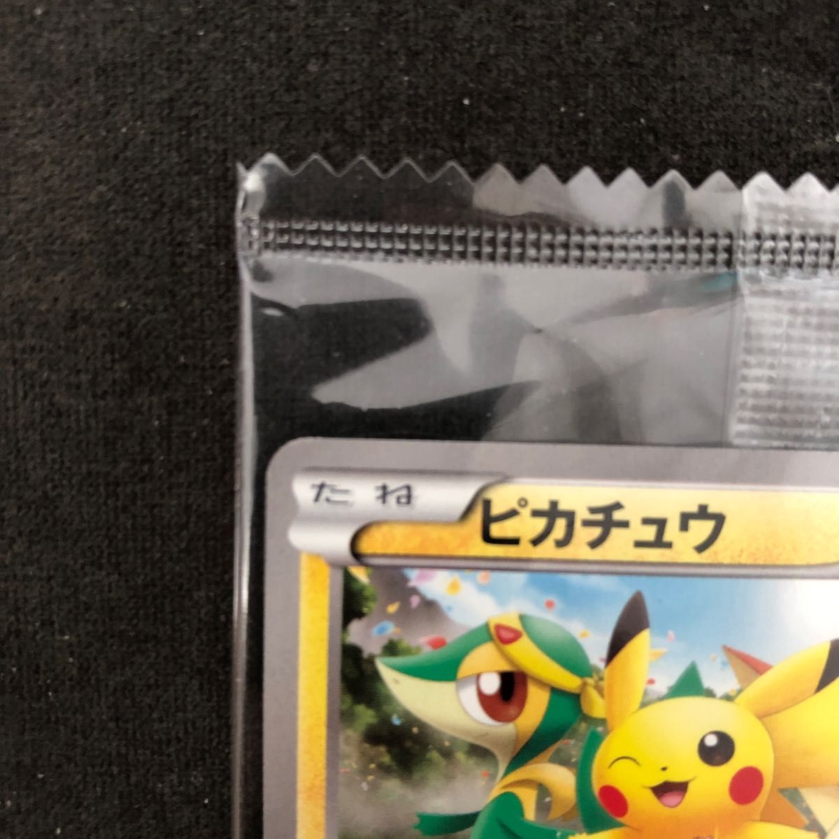 ポケモンセンター トウホク プロモ ポケモンセンター トウホク プロモ