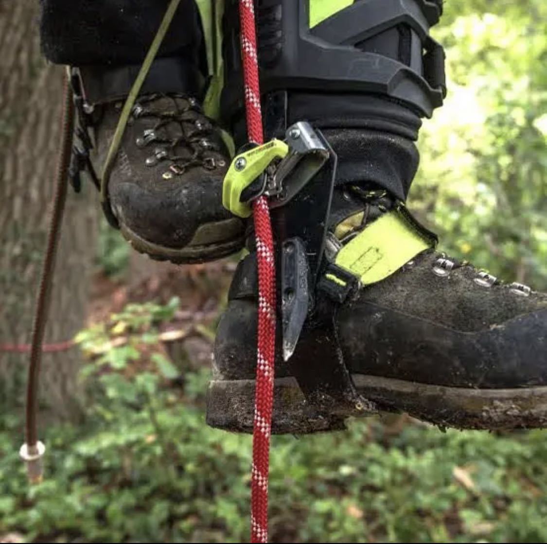 期間限定特別価格 Edelrid TALON アーボリスト ツリークライミング