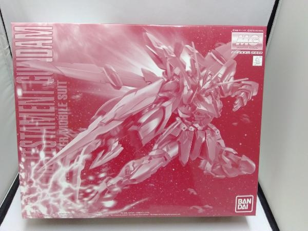 プラモデル バンダイ 1/100 テスタメントガンダム MG 「機動戦士ガンダムSEED DESTINY ASTRAY」