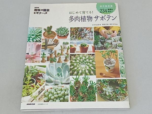 趣味の園芸ビギナーズ はじめて育てる!多肉植物サボテン 野里元哉_画像1