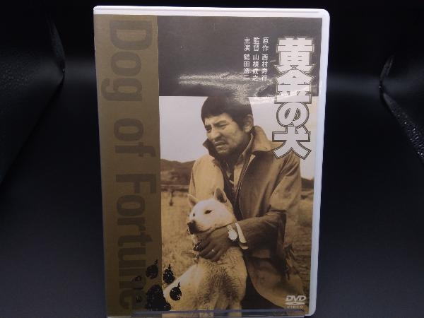 DVD 黄金の犬_画像1