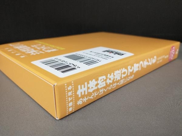 映像で見る主体的な遊びで育つ子ども 大豆生田啓友 映像で見る主体的な遊びで育つ子ども 大豆生田啓友