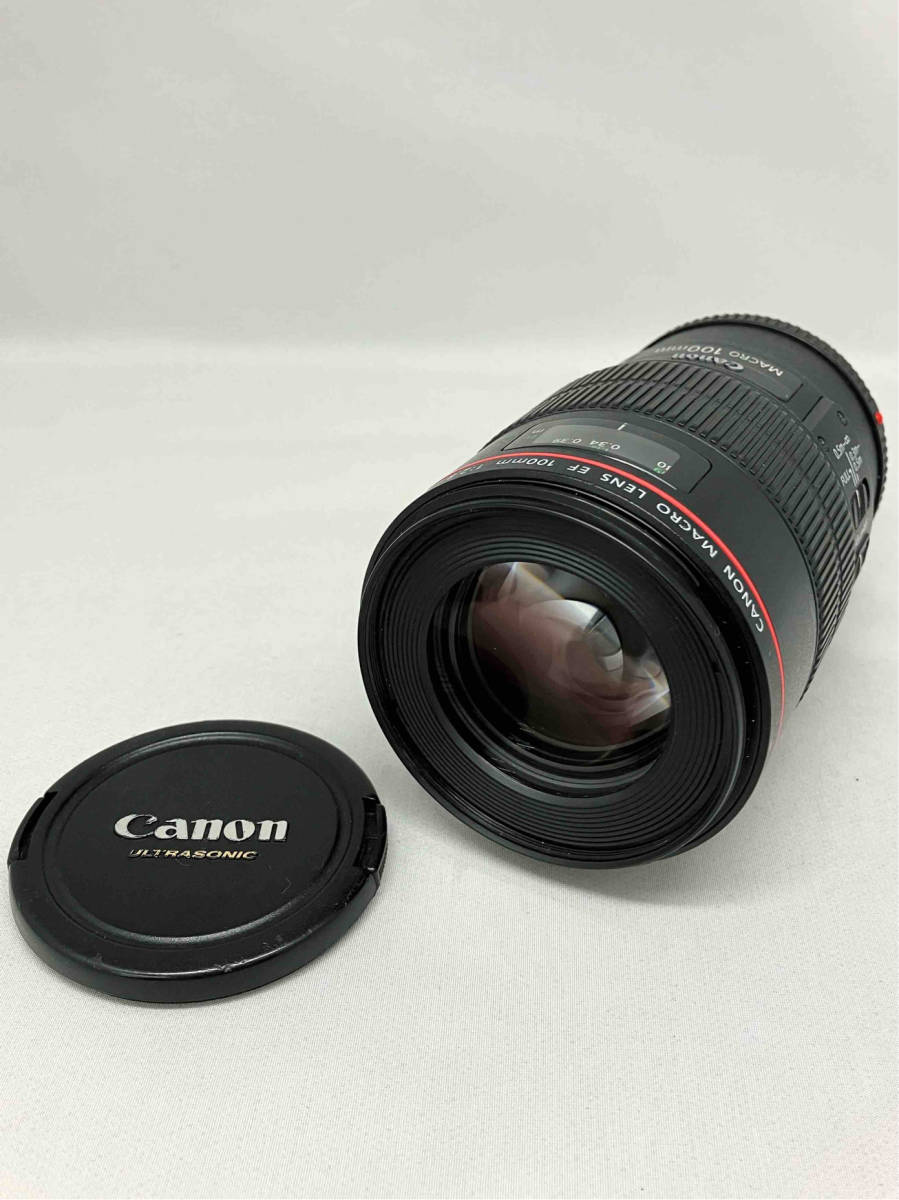 ジャンク ☆Canon MACRO LENS EF 100mm 1:2.8 キャノン カメラレンズ