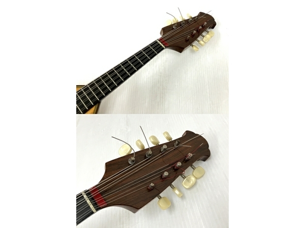 Raffaele Calace Classico B 1985年製 マンドリン ハードケース付き