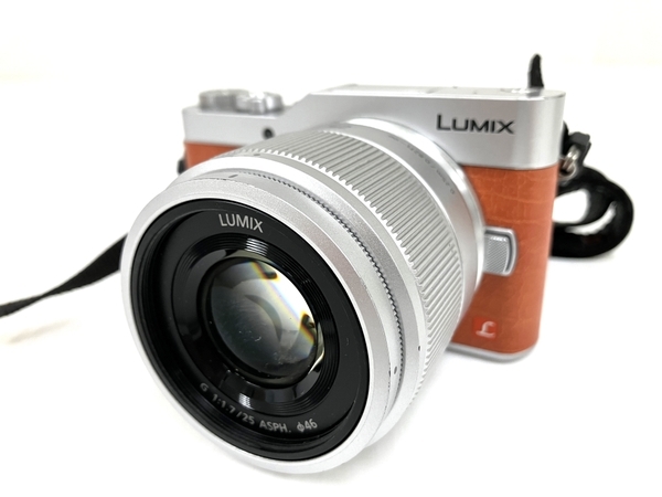 Panasonic LUMIX DC-GF9 1:1.7/25 ASPH デジタル ミラーレス一眼 Panasonic LUMIX DC-GF9 1:1.7/25 ASPH デジタル ミラーレス一眼