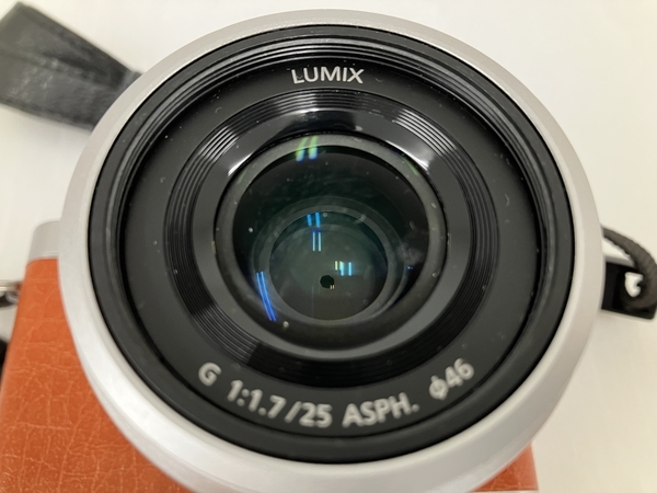 Panasonic LUMIX DC-GF9 1:1.7/25 ASPH デジタル ミラーレス一眼 Panasonic LUMIX DC-GF9 1:1.7/25 ASPH デジタル ミラーレス一眼